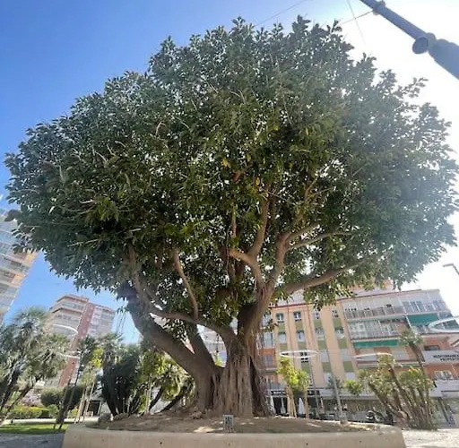 Tek Yatak Odalı Daire